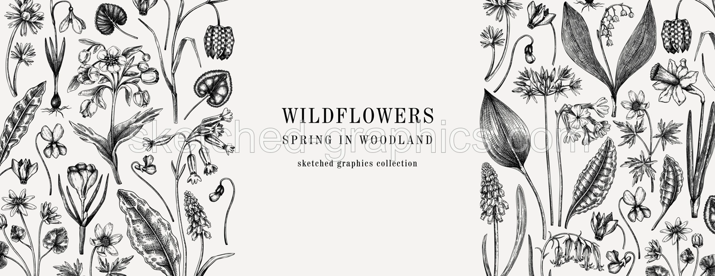 Horizontal vintage banner with wildflowers sketches. Floral design in sketched style. Delicate black contoured blooming flowers border. Spring woodland or garden botanical vector background for print Illustration